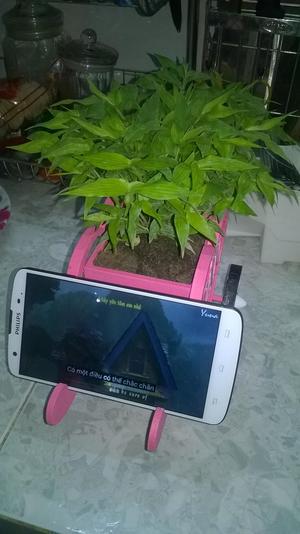 Plant pots and take the phone