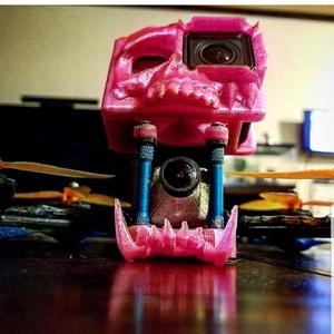 bottom jaw bumper