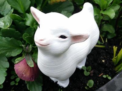 Smug goat