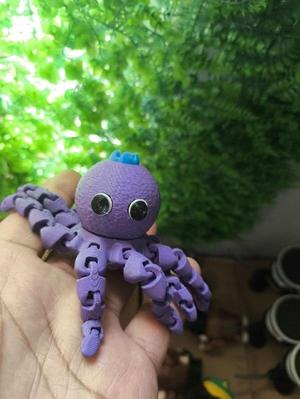 BLUEBERRINI OCTOPUSINI