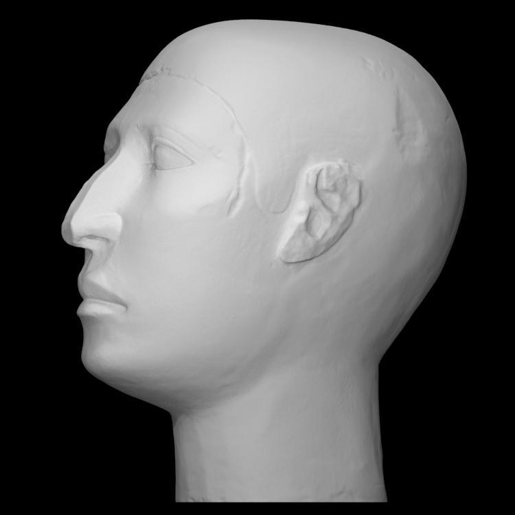 "Reserve head" of Nofer