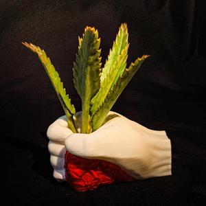 hand shaped pot (decor)