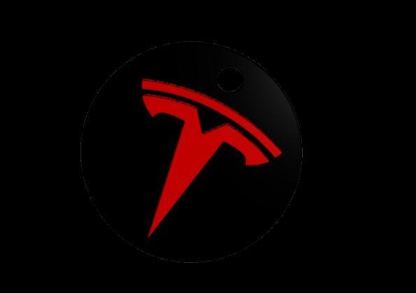 Tesla Keychain