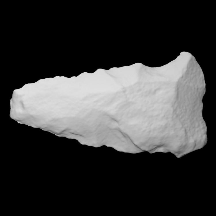 Biface - COADS_126MP-1047