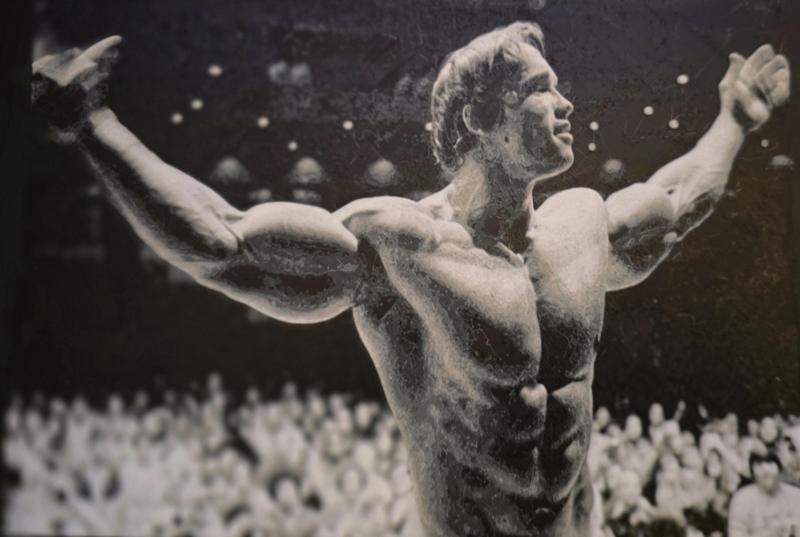 HueForge - Arnold Schwarzenegger Conquer