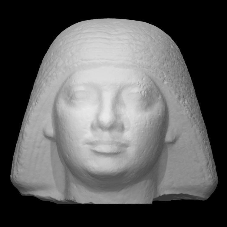 Head of Seshemnefer II