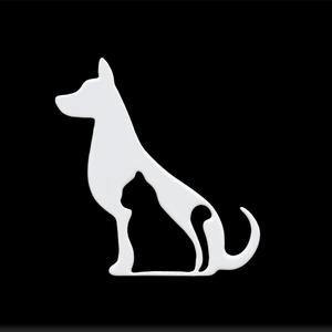 Dog and Cat
