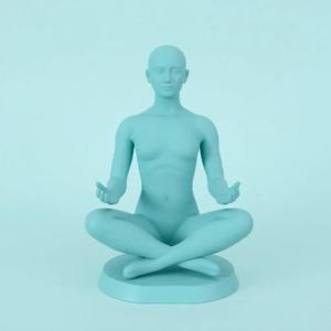 Peaceful Yogi