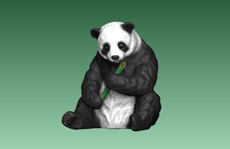 Panda Bear