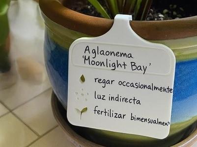 Plant Tag