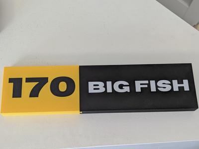 Dart Score Sign - 170 Big Fish