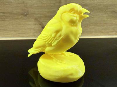 Sunshine canary
