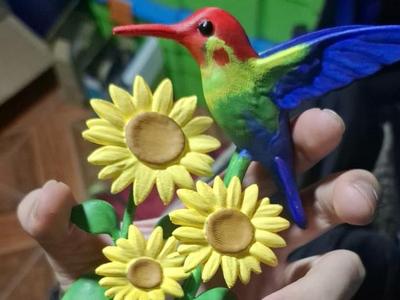 hummingbird