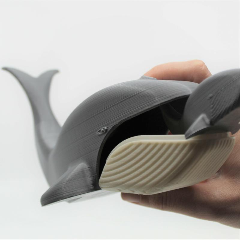 Blue Whale Mama & Baby