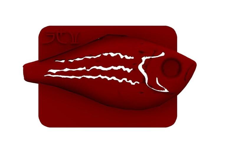 Lure Stencil - Rapala RR7 Orig (mullet)