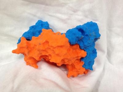 Class II tRNA enzyme