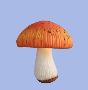 Shiitake Mushroom