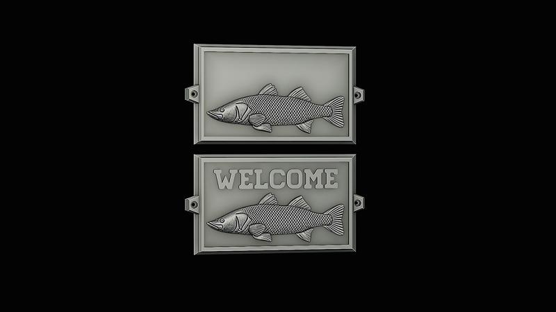 relief 1 fish black snook / robalo / Centropomus nigrescens