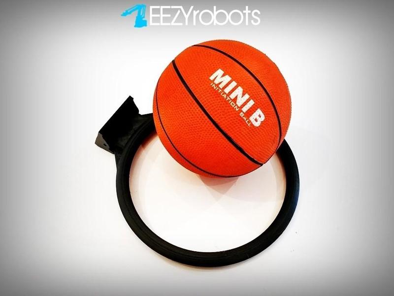 MINI BBALL HOOP