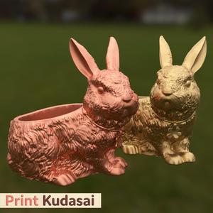 Adorable Rabbit Bunny - Planter
