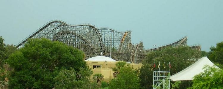 Gwazi at Busch Gardens Tampa