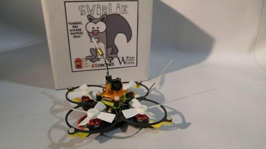 Swirlie - 64mm pico-sized Brushless Quad