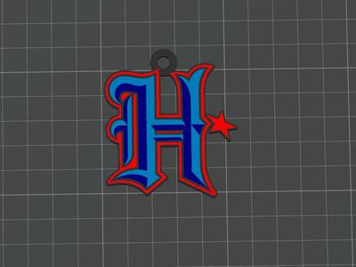 Houston Texans Keychain/Necklace