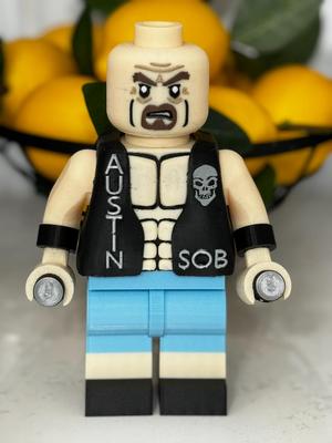 Bricks Stone Cold Steve Austin Entrance