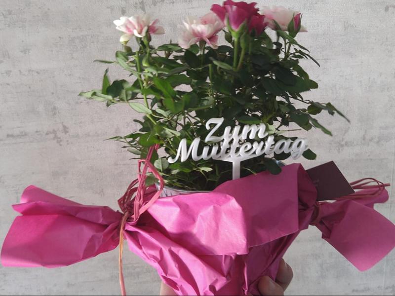 Mother's Day Decoration