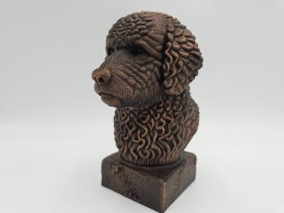 SPANISH WATER DOG  BUST