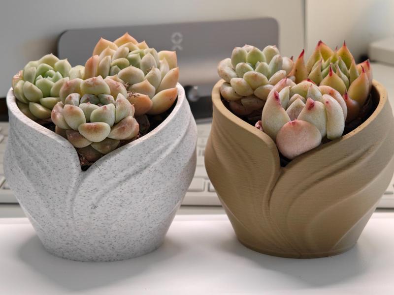 520 The Growth of Love