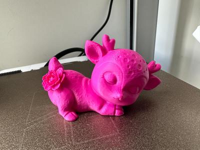 Adorable Little Deer