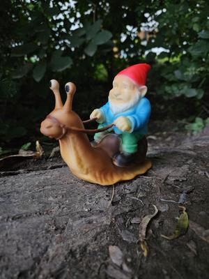 Racing snail with garden gnome