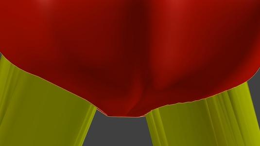 Robot Posterior