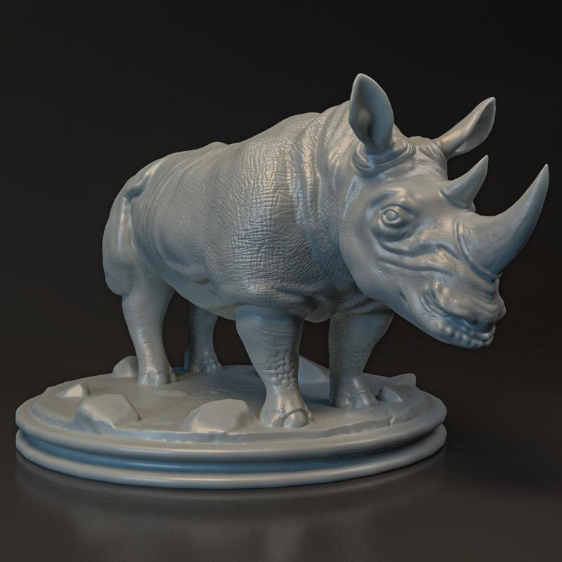 Rhinoceros