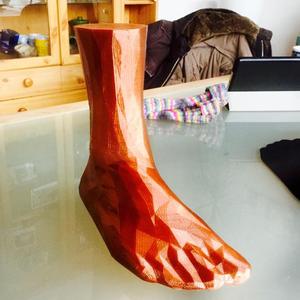 Sock Blocker (3D Foot) EU40 25cm Polygonal
