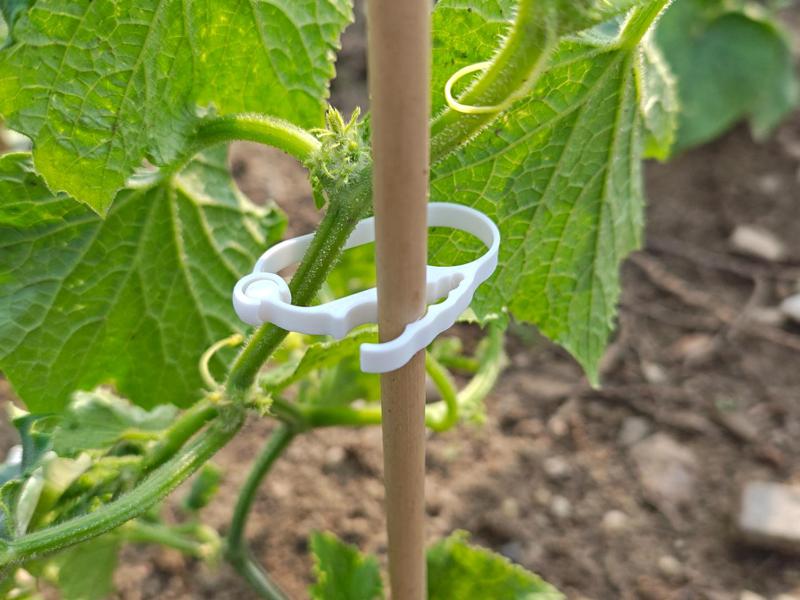 Universal plant clip for rods (3–11 mm)