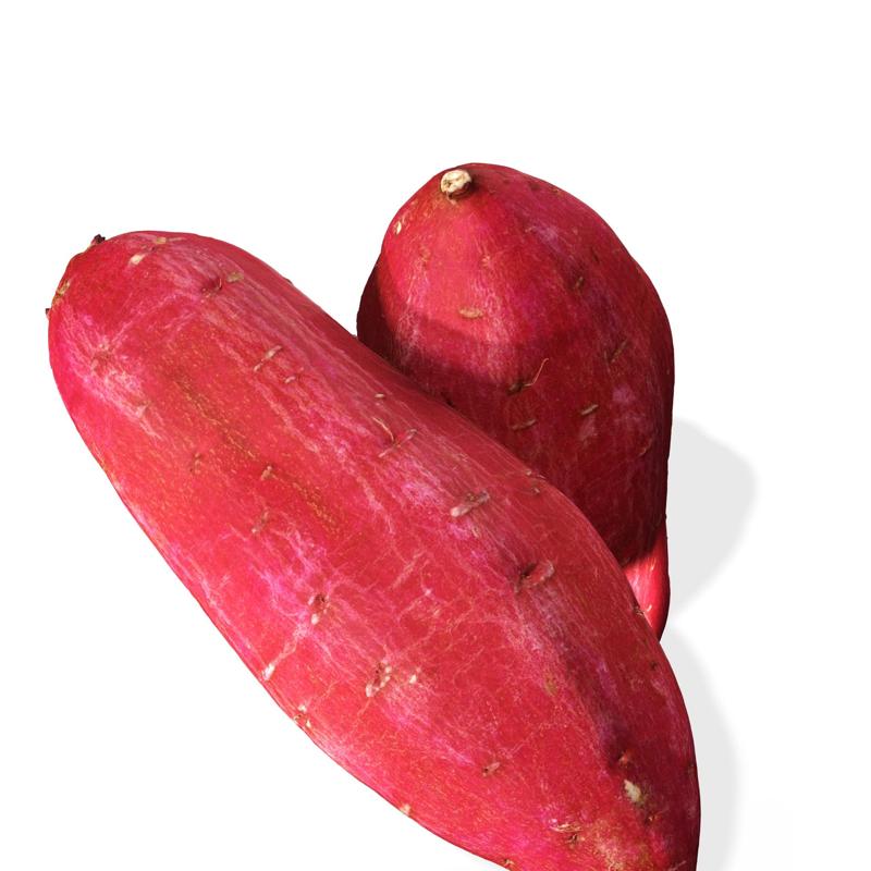 Ipomoea Batata VEGETABLE STACK Blackberry Tomato Potato Pepper Bread Pumpkin Zucchini Carrot Lettuce Cabbage Apple Melon Watermelon kactus Pineapple Plantain Banana Grape Ocume Strawberry Hamburger Mango Pear Papaya Mussel Plate Kiwi