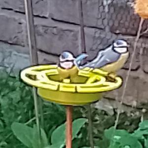Bird Bath on a Stick
