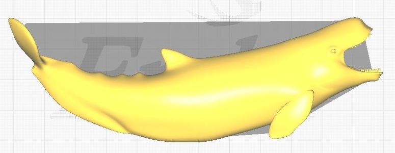3D model depicts the colossal Leviathan melvillei