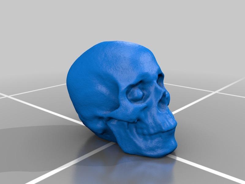 Photogrammetry Created Skull - Agisoft Photoscan