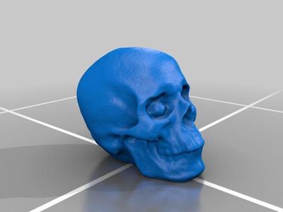 Photogrammetry Created Skull - Agisoft Photoscan