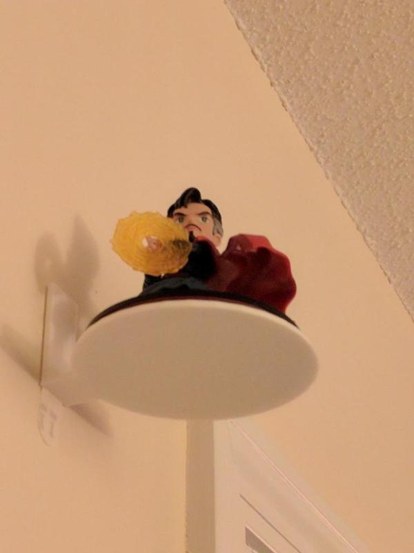 Q Figs Stand