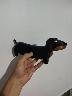 Sausage Dog