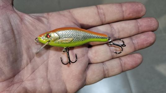 Minnow fishing lure