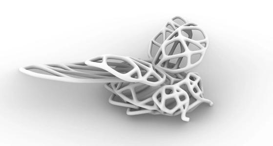 Lauras biogrid bug with folded and stretched wings