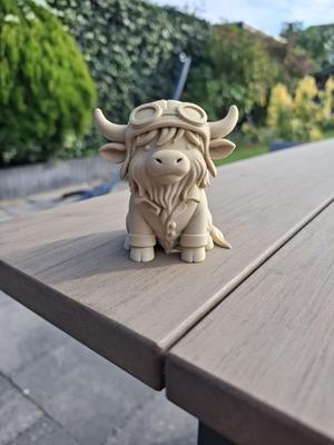 Aviator Highland Cow – The Sky’s the Moo-nit!