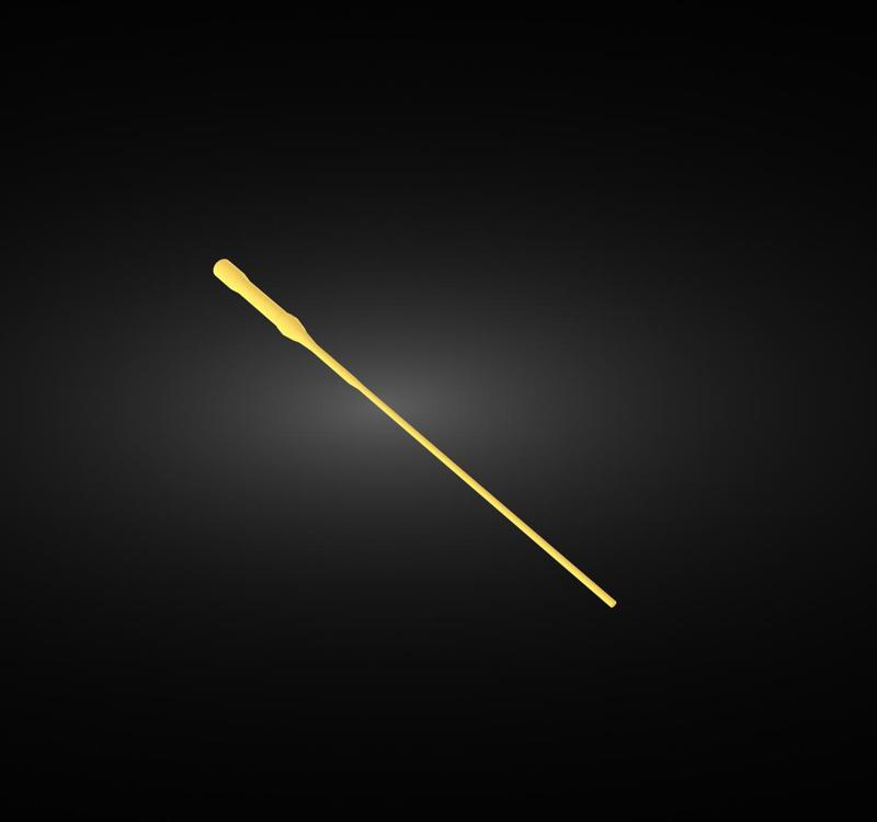 Harry Potter's magic wand