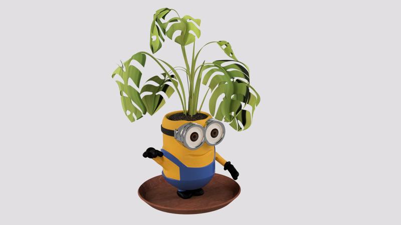 Minion Plant Pot