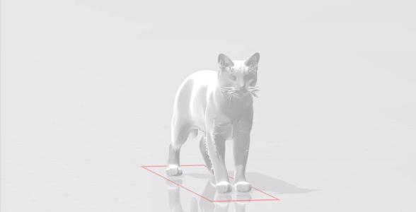 Cat  3D Model